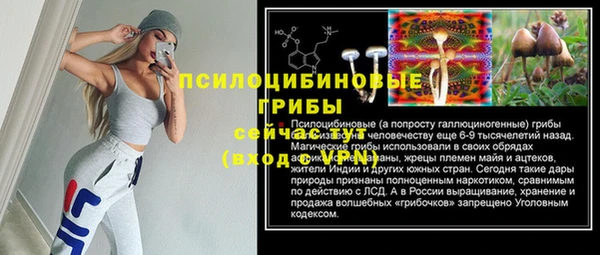 а пвп мука Бугульма