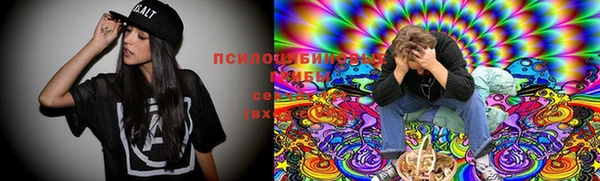 бутират Бородино